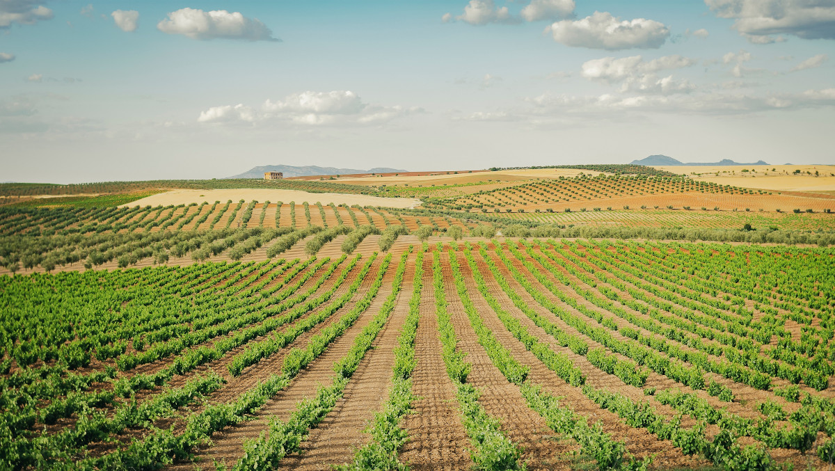 Aumento de más de un 20% de la financiación al sector agropecuario en 2024